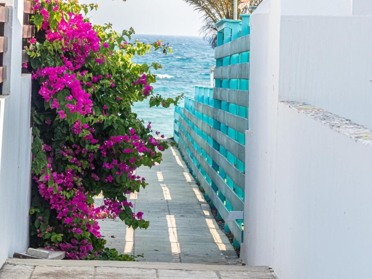 לרנקה Greek Island Style 2 Bedroom Villa With Pool Next To The Sea מראה חיצוני תמונה